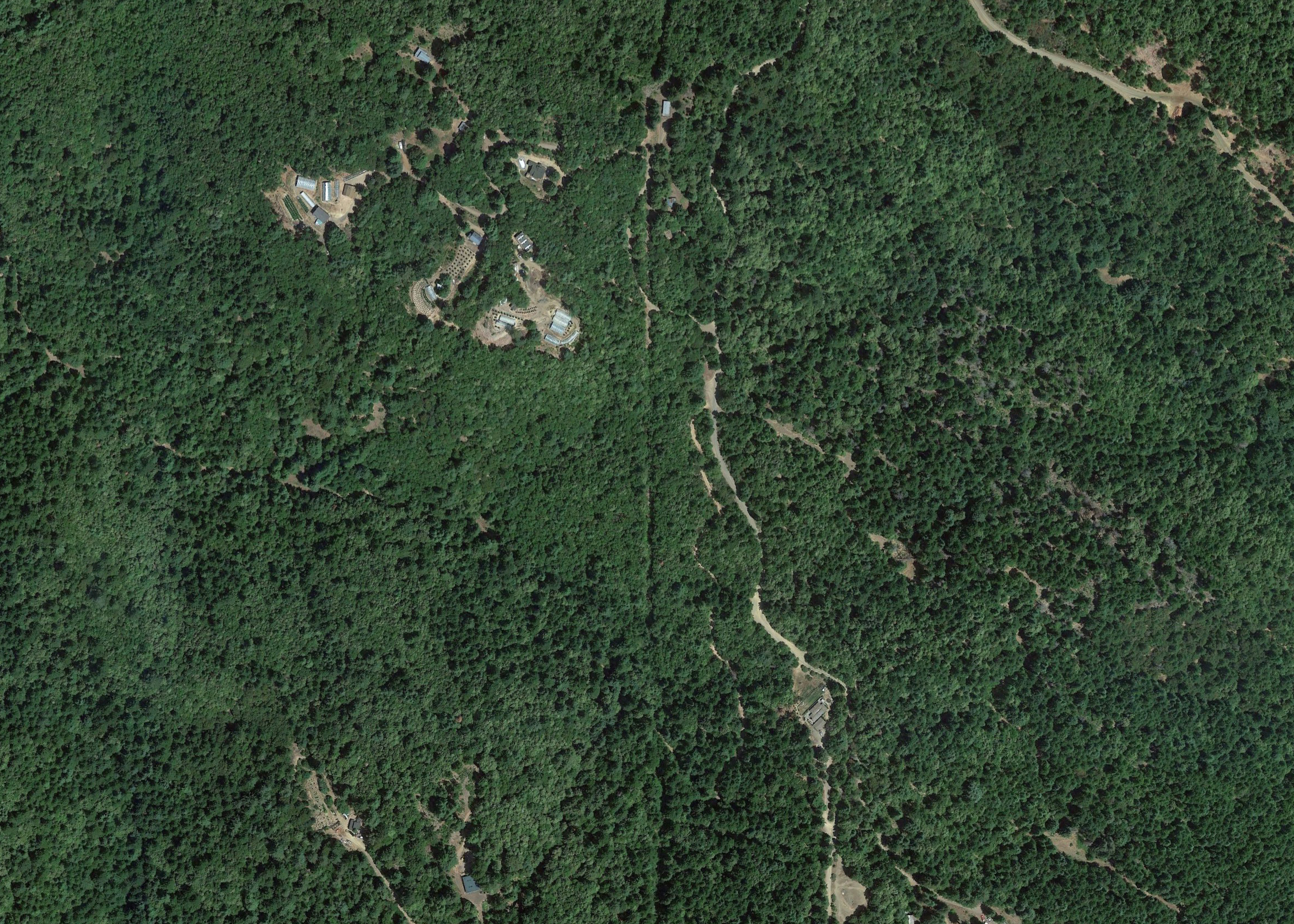 satellite photo of grow sites and roads encroaching into forests and fragmenting the landscape