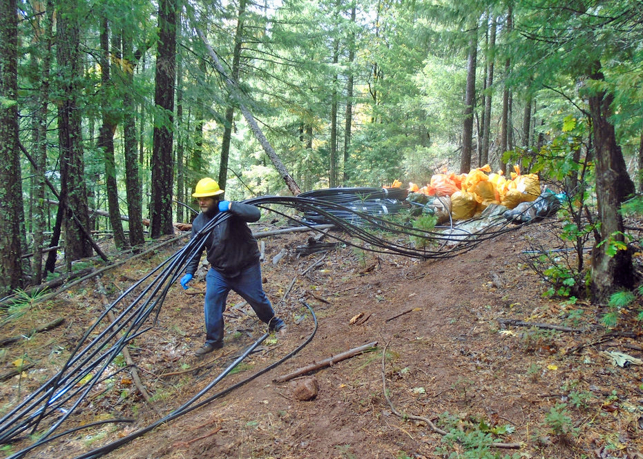 Photograph of a worker hauling long, coiled lines of plastic irrigation pipe and bags of waste out of a partially cleared conifer forest.