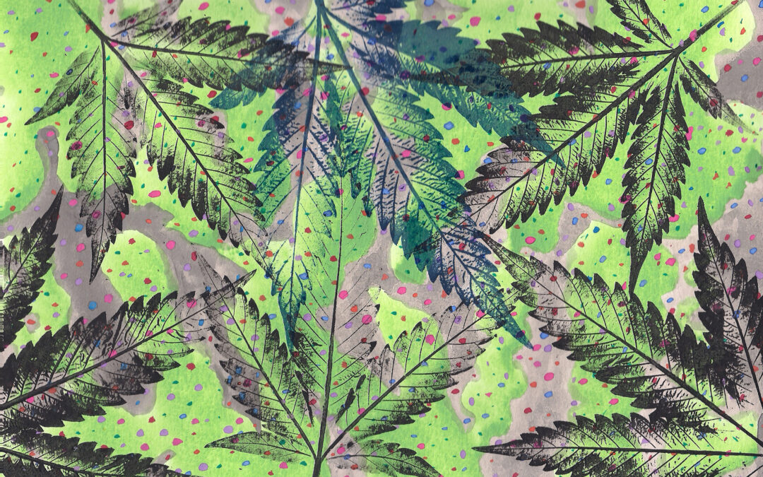 Inside the Emerald Triangle: Modeling the Placement and Size of Cannabis Production in Humboldt County, CA