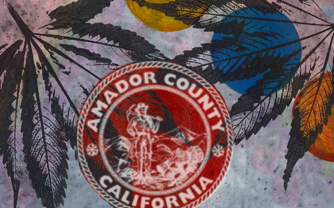 From Outlaw to Citizen: Police Power, Property, and the Territorial Politics of Medical Marijuana in California’s Exurbs