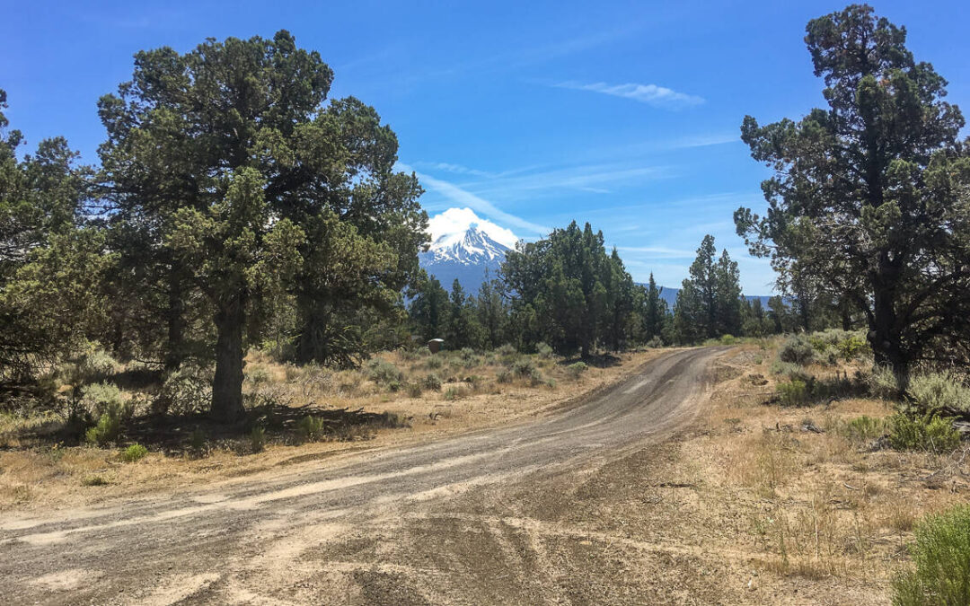 Cannabis farmers or criminals? Enforcement-first approaches fuel disparity and hinder regulation